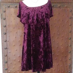 NWT BEAUTIFUL CRANBERRY COLORED VELVET DRESS.